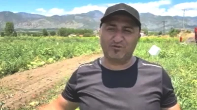 Çiftçilerin Üzüntüsü Büyüyor: 45 Bin TL'den 10 Bin TL'ye Düşen Hasat Fiyatları!