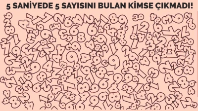 5 Saniyede Bulunan Gizemli Sayı! IQ'su 160 Üstü Olanlar İçin Çözüm